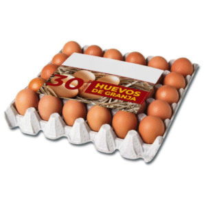 Maple de Huevos Colorados x 30